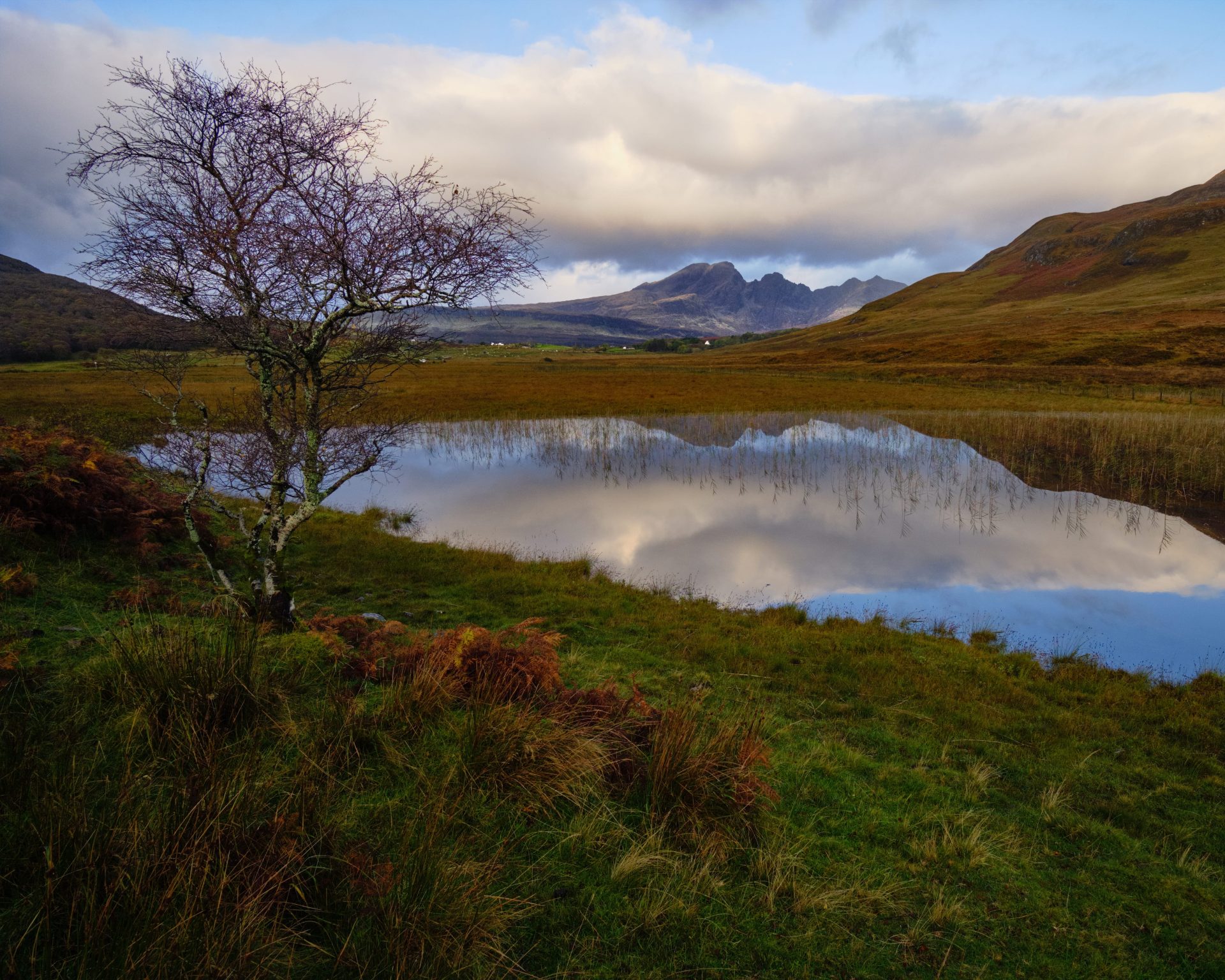 Nature image from the Isle of Skye in the UK