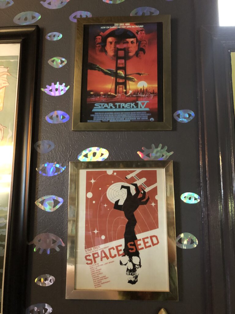 Images of Brianne's Star Trek posters hanging in her home