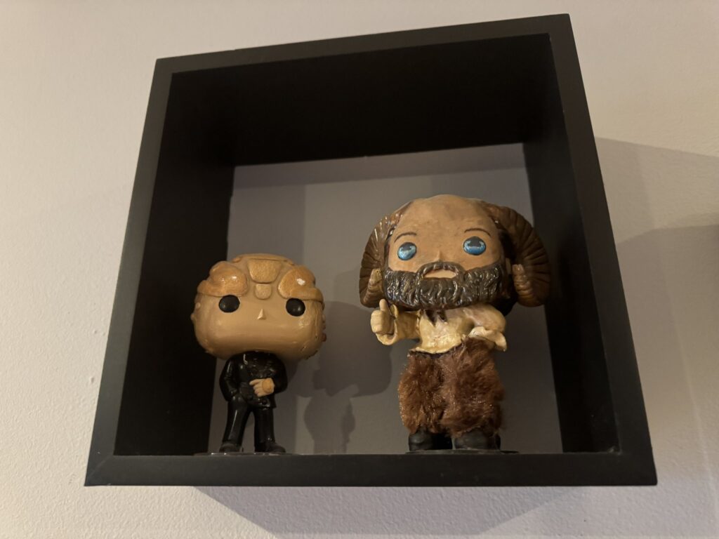 Custom Funko Pops made for Dominic