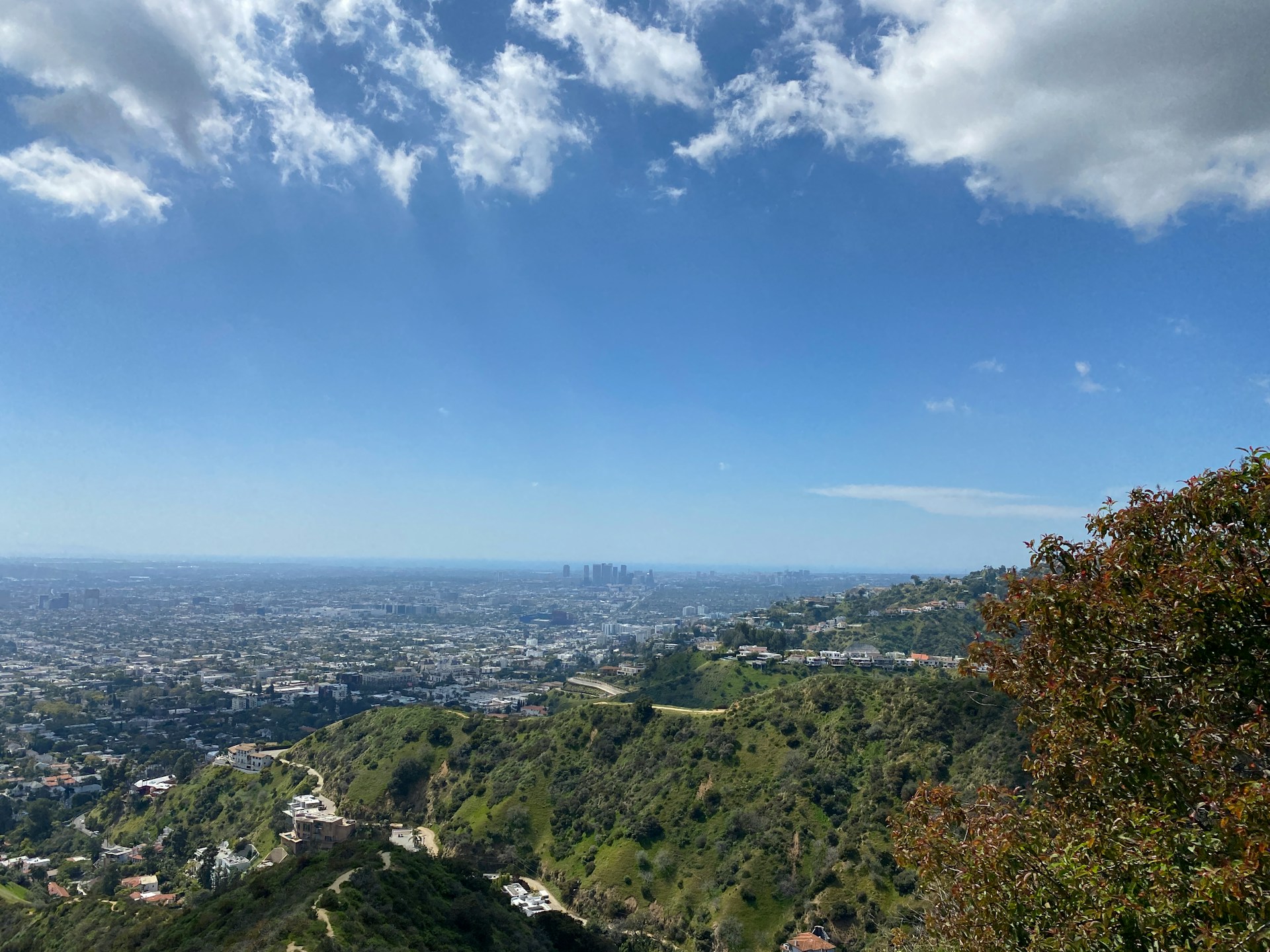 Scenic picture of Los Angeles off in the distance